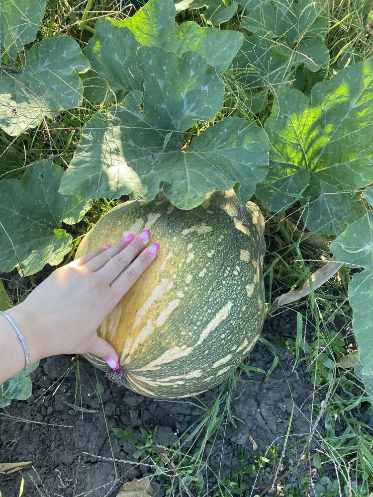 Продам дачу Севког