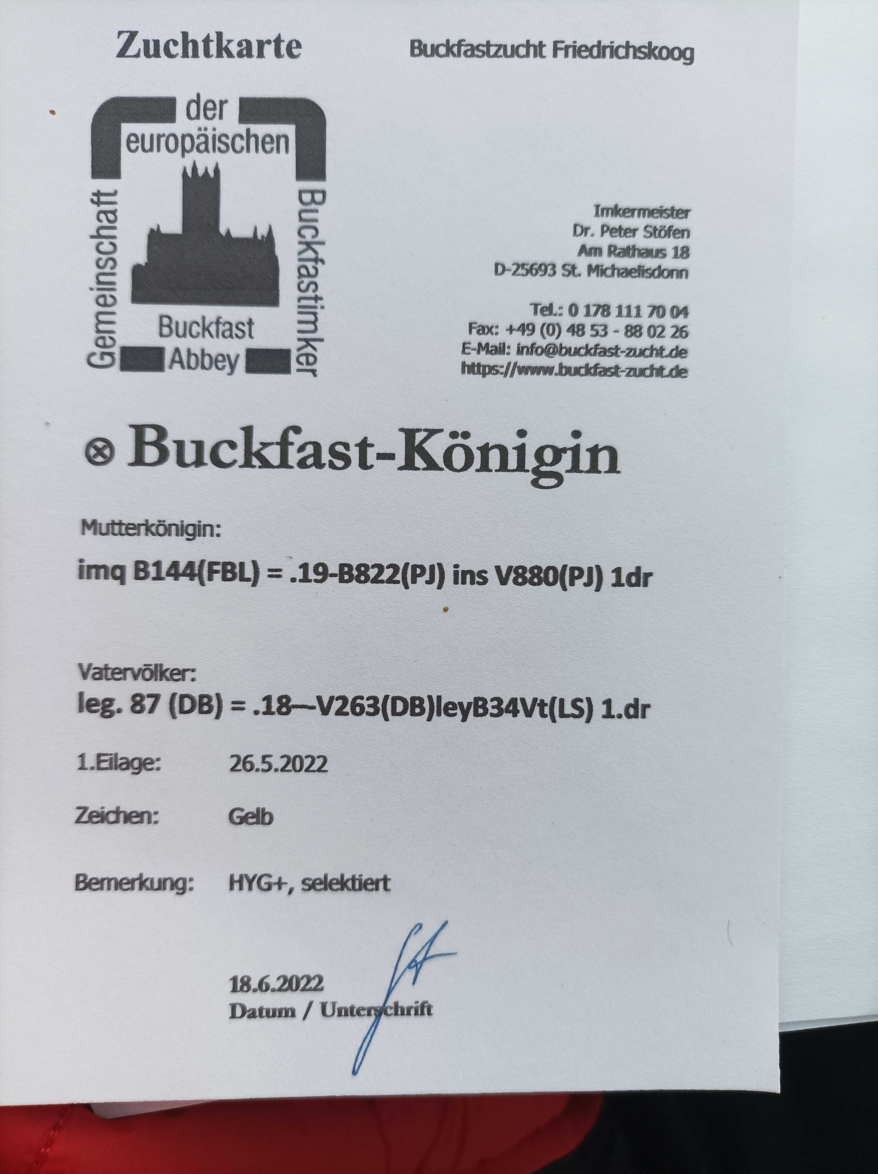 Matki pszczele Buckfast PS(Peter Stofen)