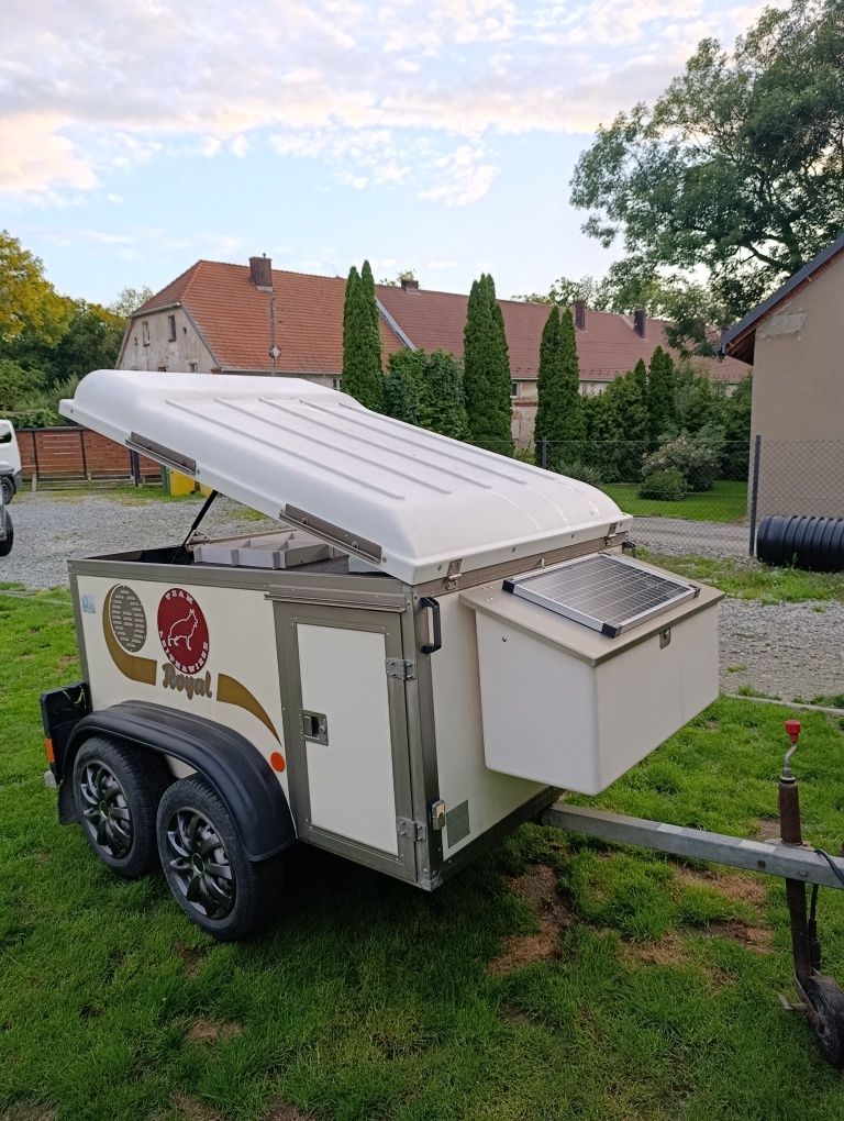 Przyczepka do przewozu trzech psów