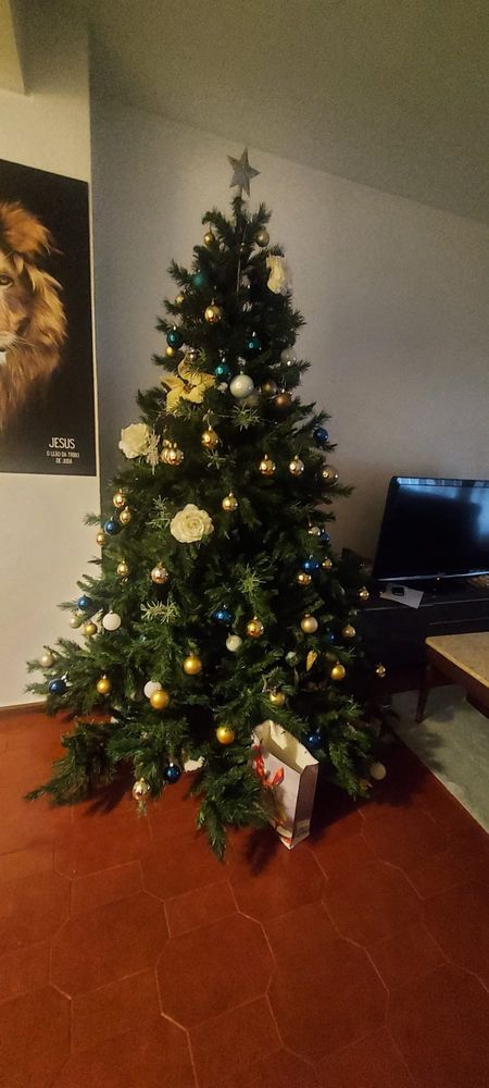 Árvore de Natal