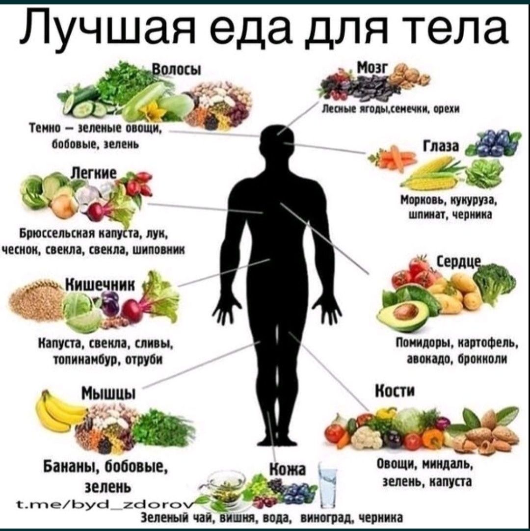 Технолог пищевого производства Технологические карты Меню