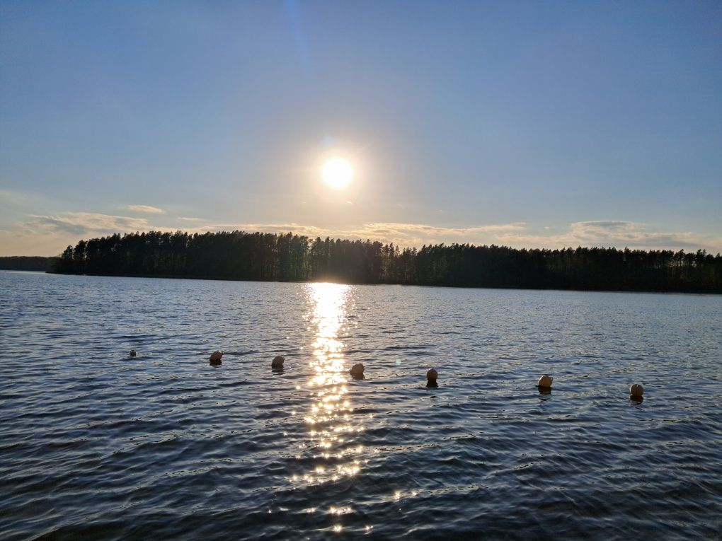 "Brzozówka" domek letniskowy Makowo k.Iławy jezioro Mazury, las