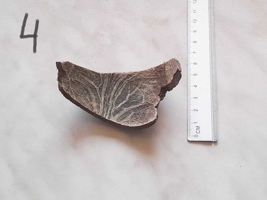 Блоки для орхідей. Кора сосни галтована, кокосовий горіх