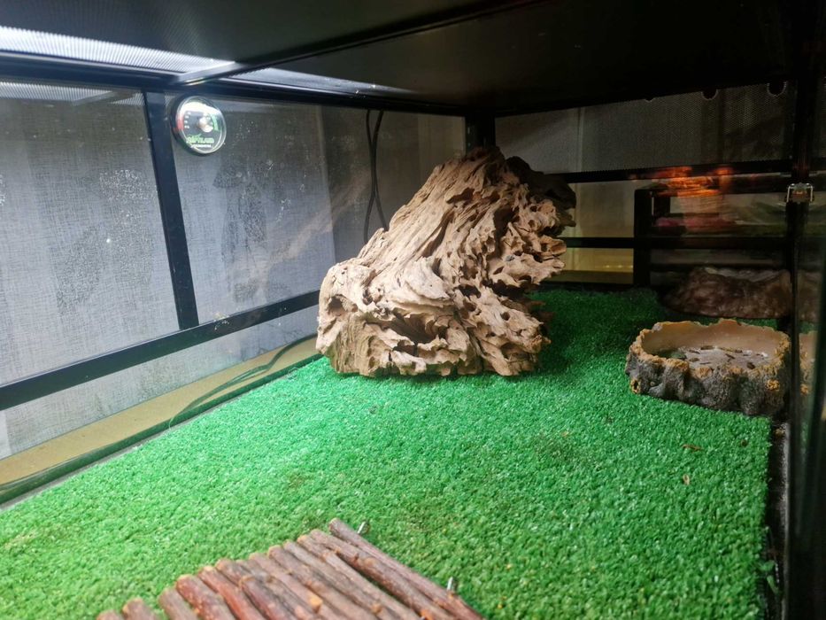 Vendo terrário para répteis