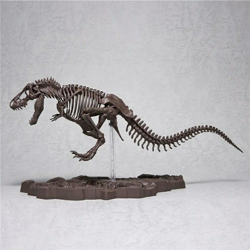 Esqueleto T-Rex Tiranossauro Fóssil