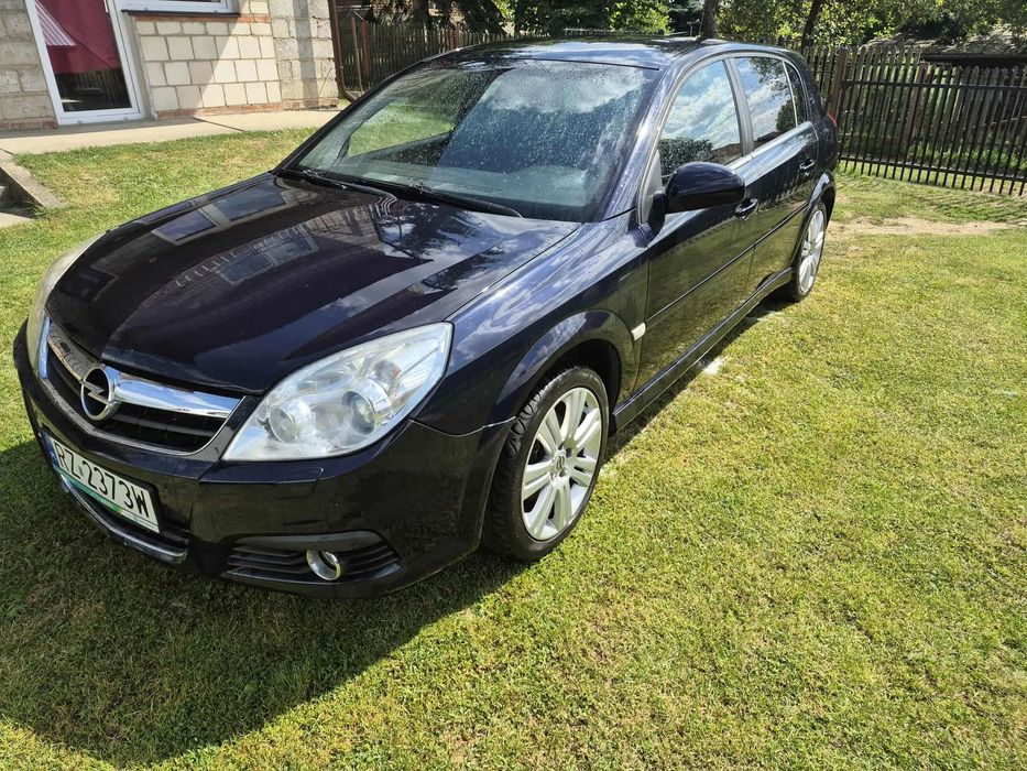 Opel Signum Opel Signum 1.9 CDTI