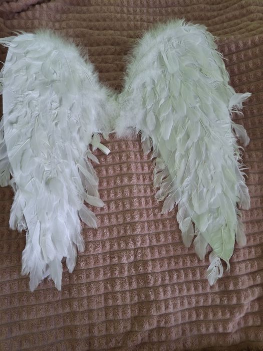 Крила Амура великі з натуральними пірїнками