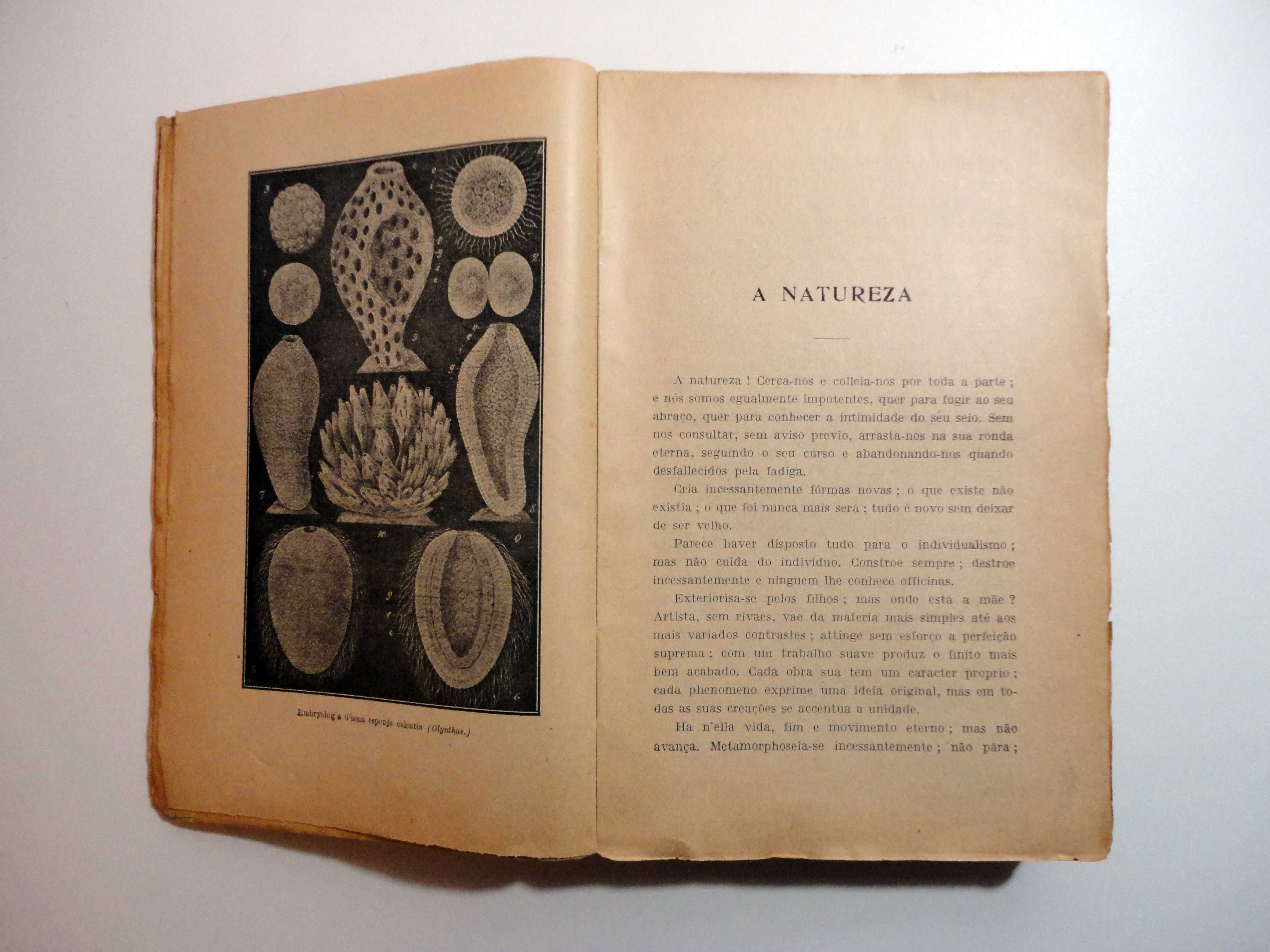 "Historia da Creação dos Sêres Organisados" (Ernesto Haeckel) - 1930