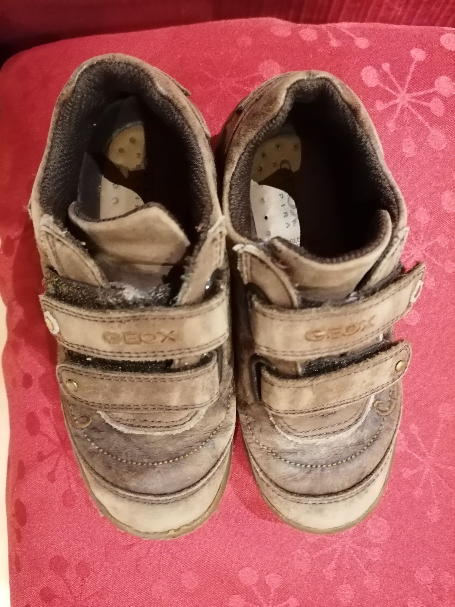 Sapatos castanhos Geox 27