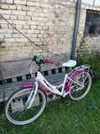 rower damski gulietta 24 cale