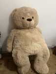 Urso peluche gigante