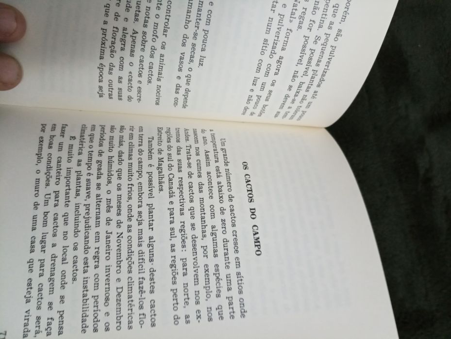 Cactos	NILAUS JENSEN. (J.) 	Cultura e Tempos Livres - 1977