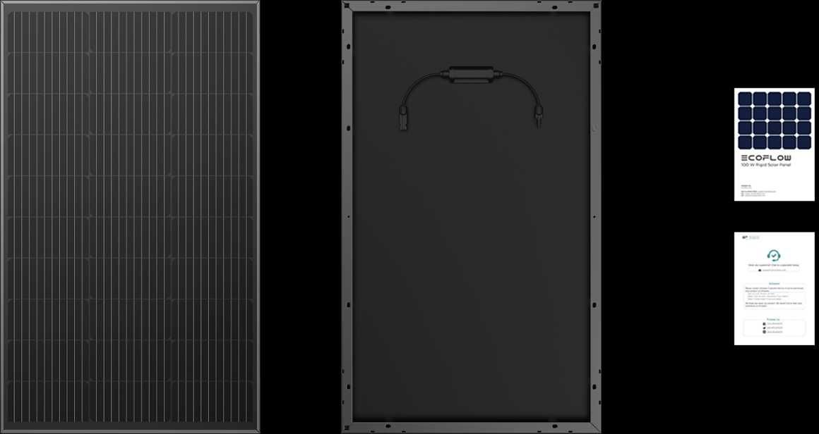 солнечная панель EcoFlow 2*100W (ZMS331)