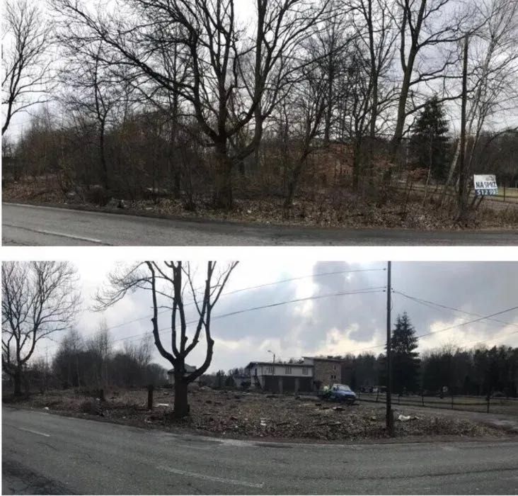 Wycinka i pielęgnacja drzew, frezowanie pni, usługi rębakiem