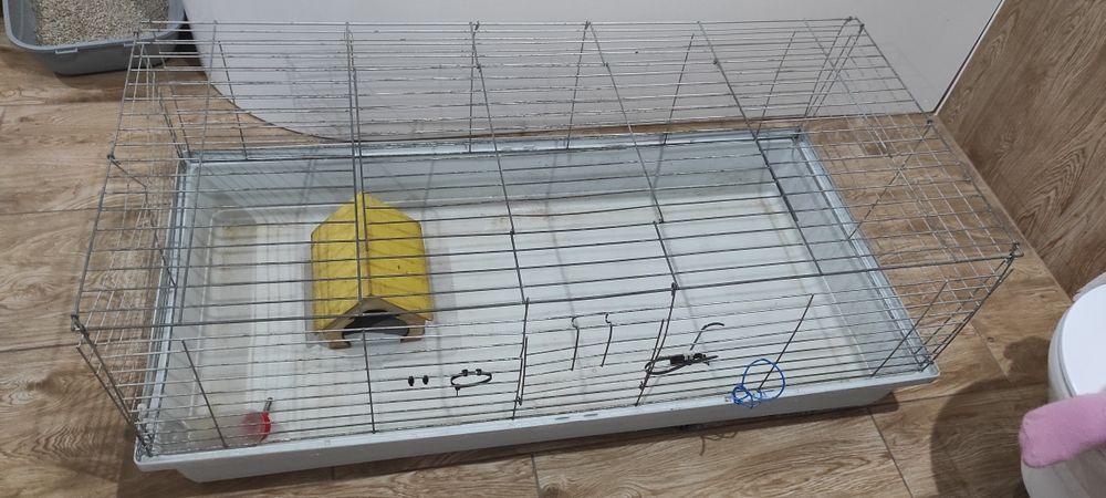 Klatka dla gryzonia , świnki , chomika