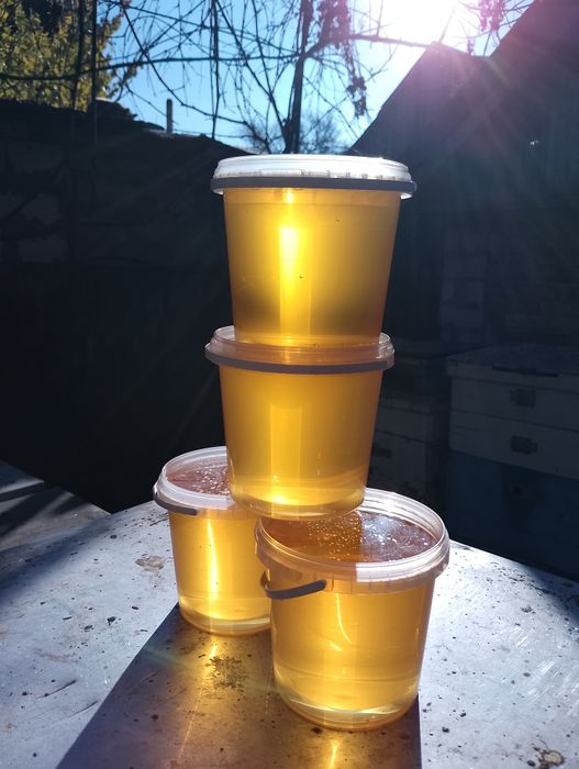 Мед акація натуральний 2025 року з власної пасіки