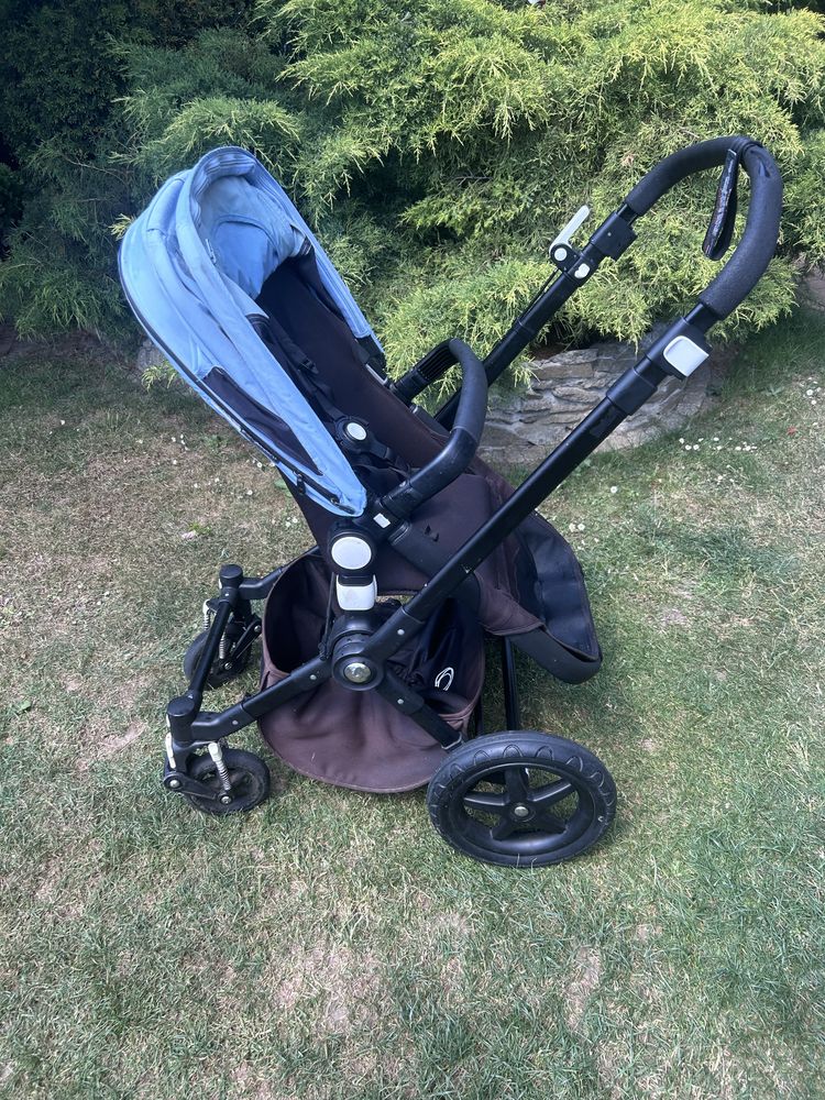 Buganoo cameleon 3