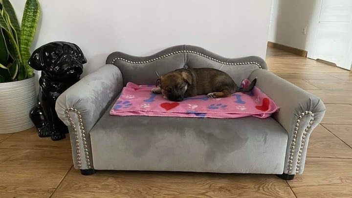 Legowisko sofa kanapa posłanie dla psa kota