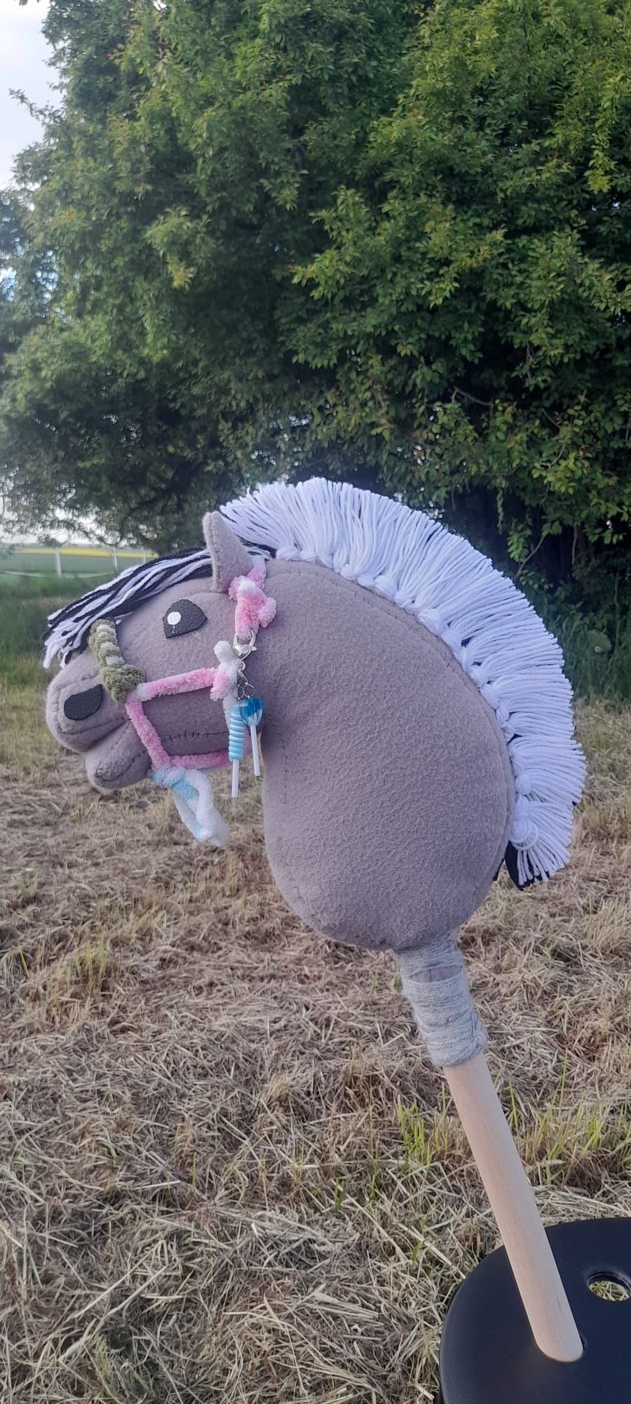 Hobby horse fiord