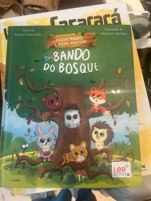 Livros diversos em bom estado