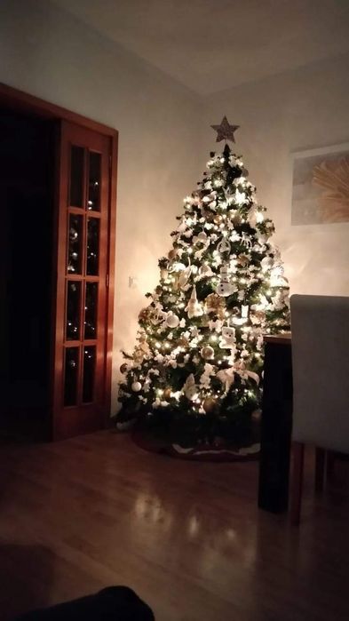 Árvore de Natal 210m