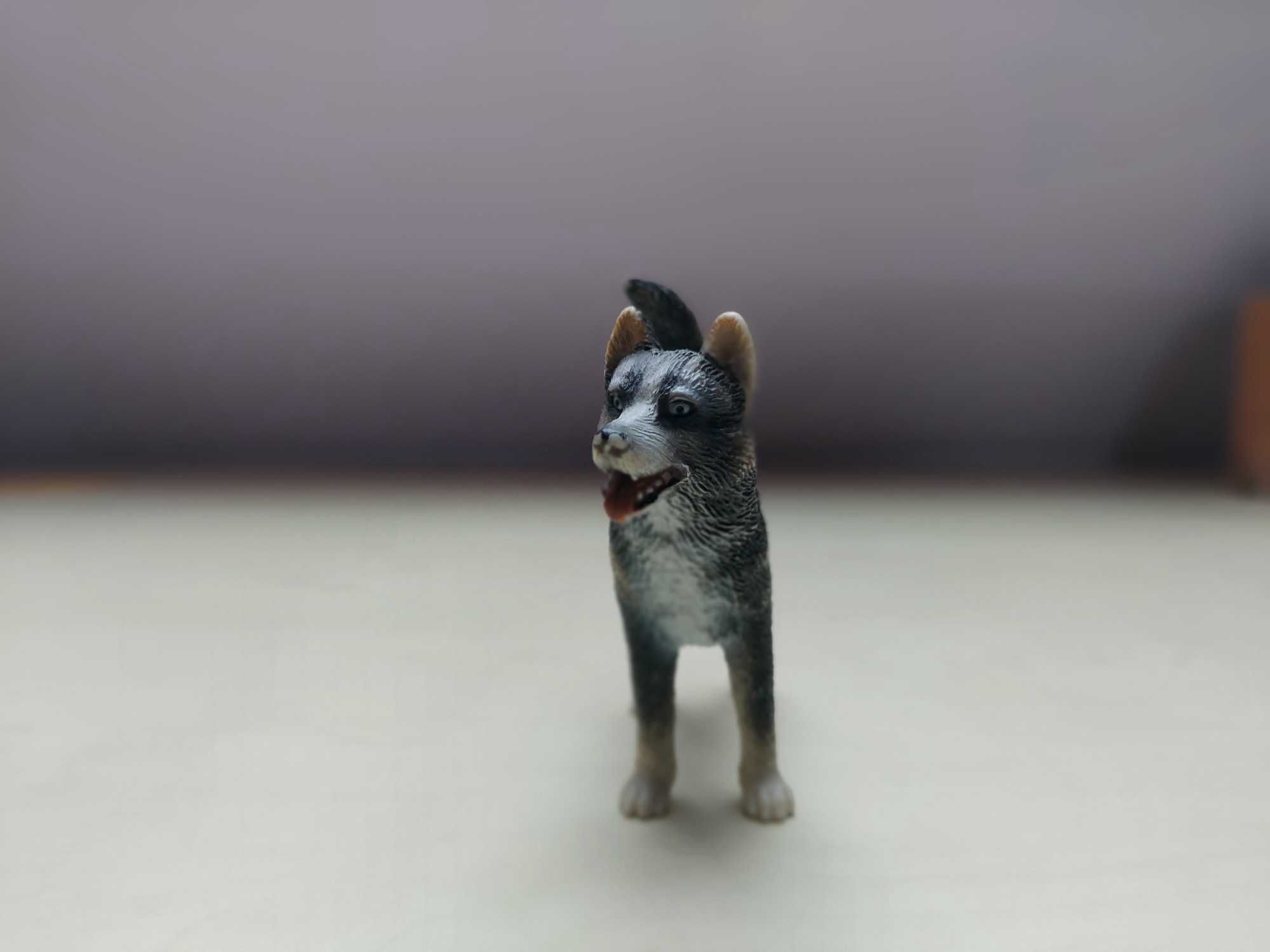 Figurka Schleich 16371 Pies rasy husky wycofany