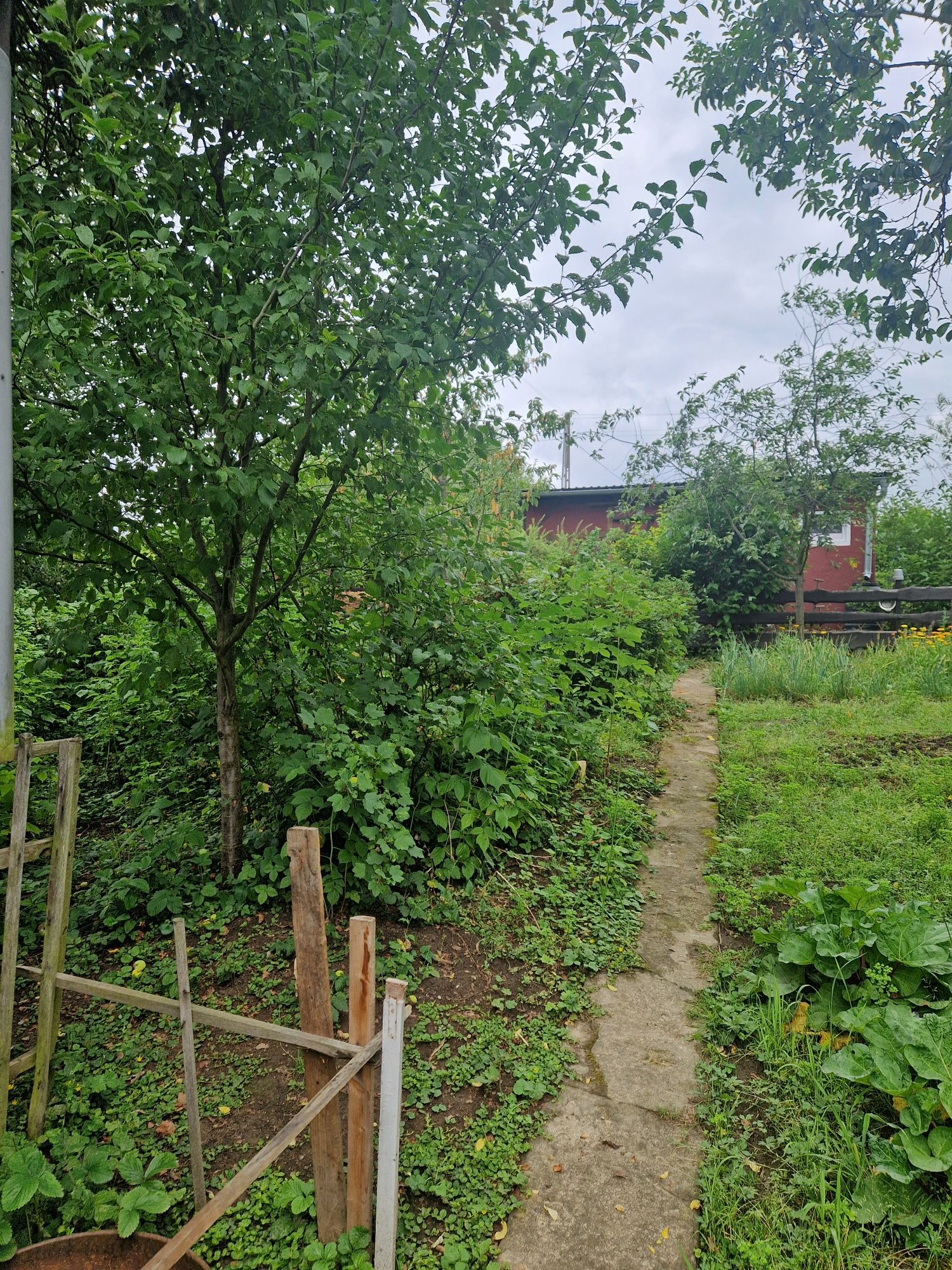 Ogródek działkowy na ROD "Perła"  Twoje własne Rodos  TOP LOKALIZACJA!