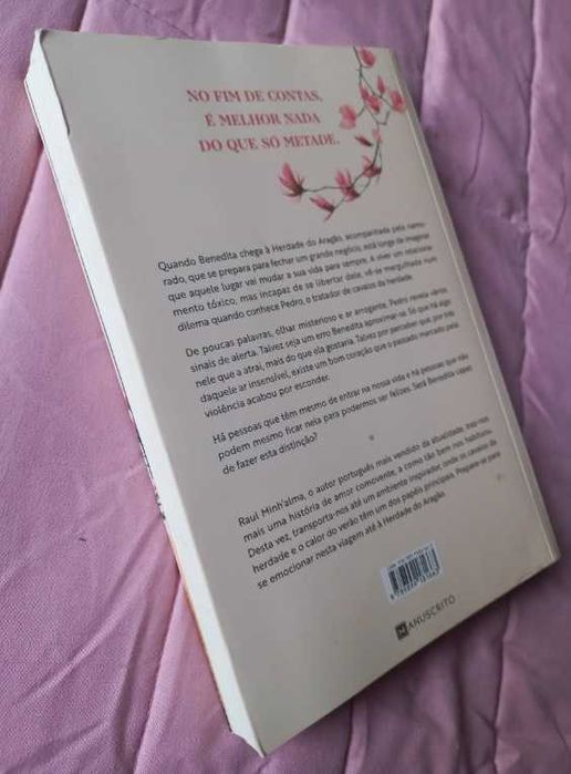 Fomos Mais do que um Erro - Raul Minh'alma