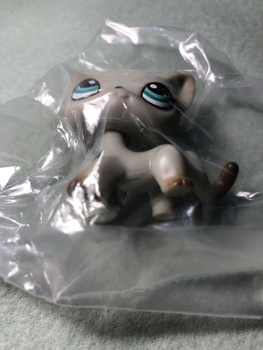 Nowy kotek shorthair egipski LPS