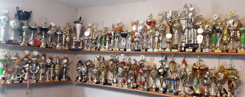 Gołębie Pocztowe rozpłodowe i lotowe  Wielokrotny Mistrz