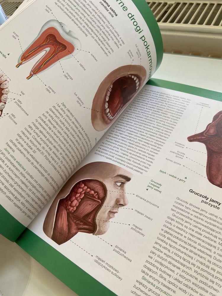 Atlas anatomiczny nowy
