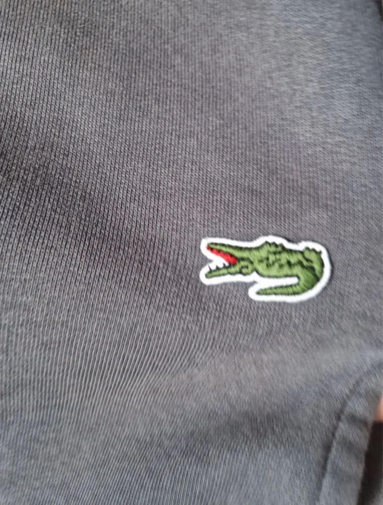 Lacoste | SPODNIE