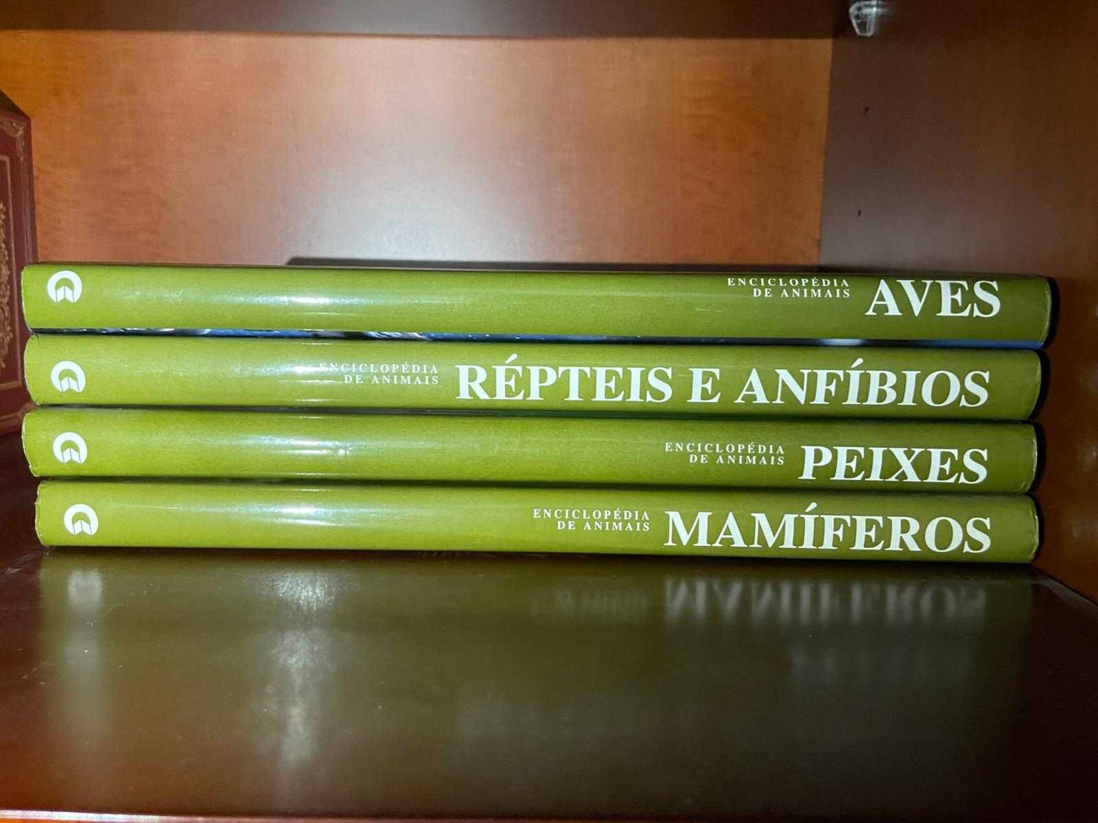 Conjunto Enciclopédias de animais