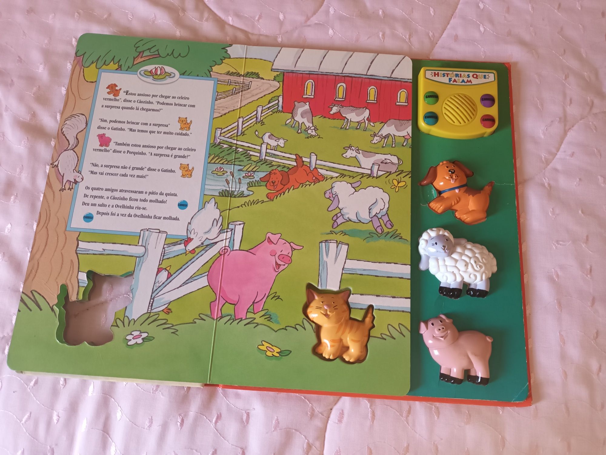 Livro - Um dia na Quinta