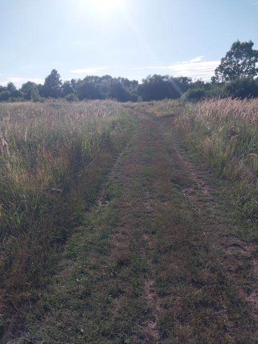 Продаж землі Середнє