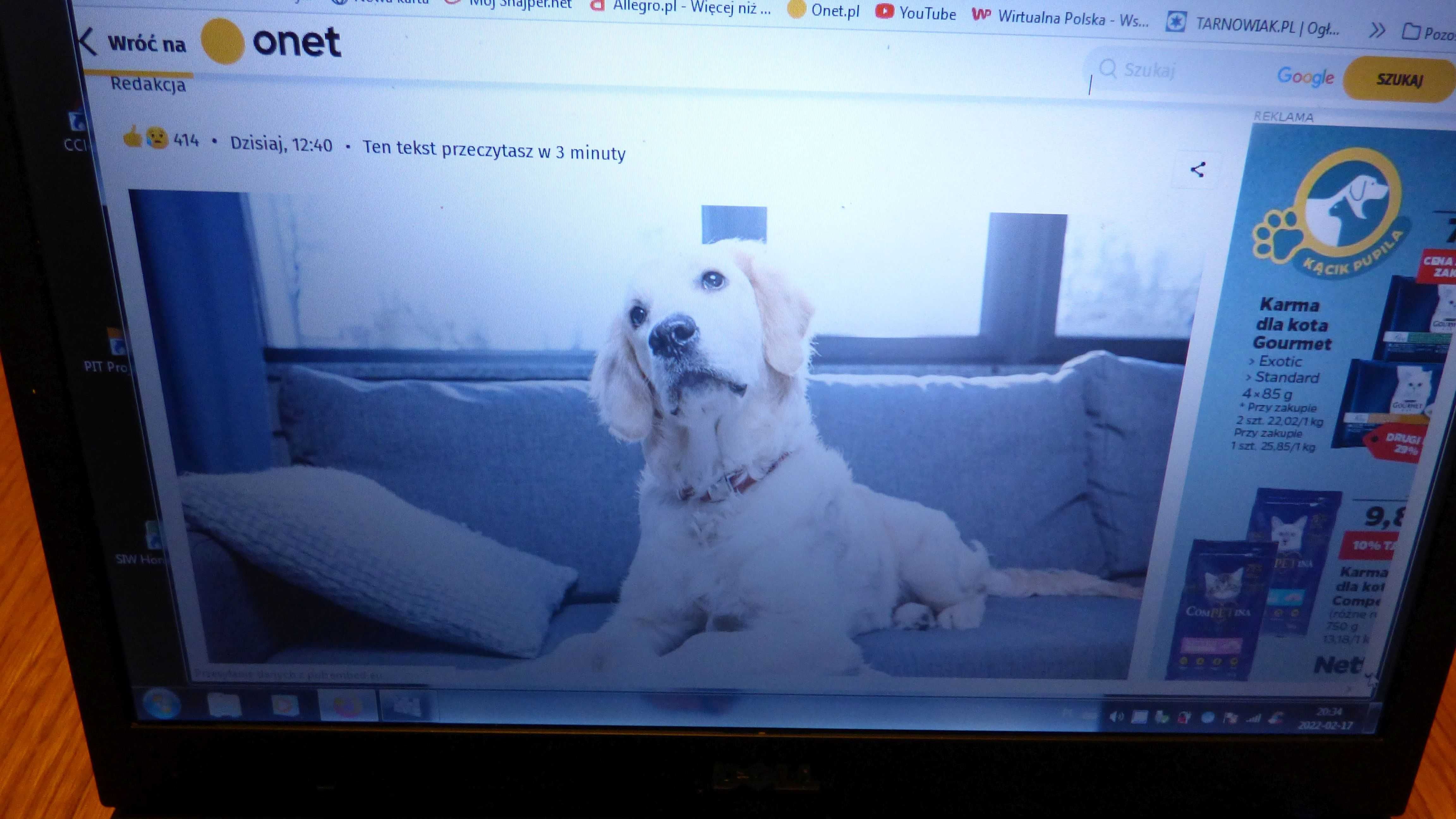 laptop DELL  gotowy do pracy