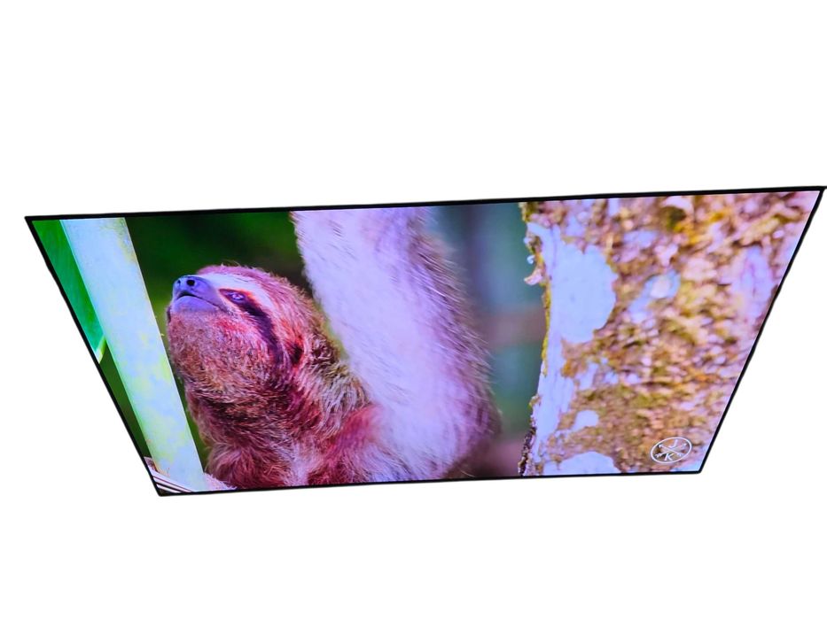Telewizor LG OLED65A19LA 164/65CM
