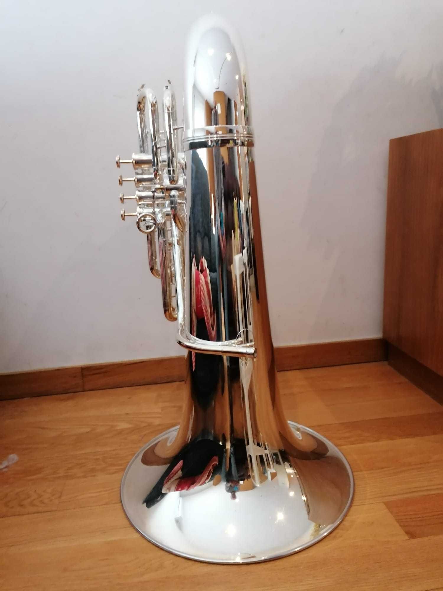 Tuba B&S 795 international