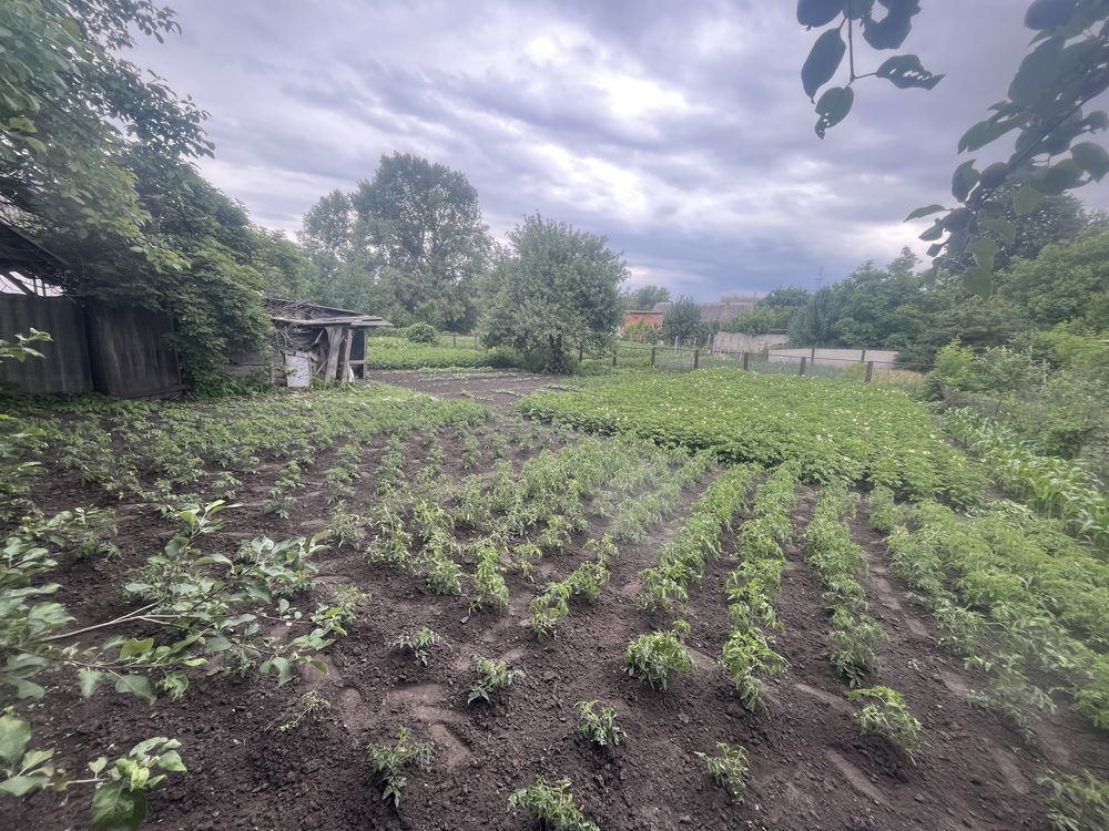 Продається дім в Степанівці ( Цукровий завод )