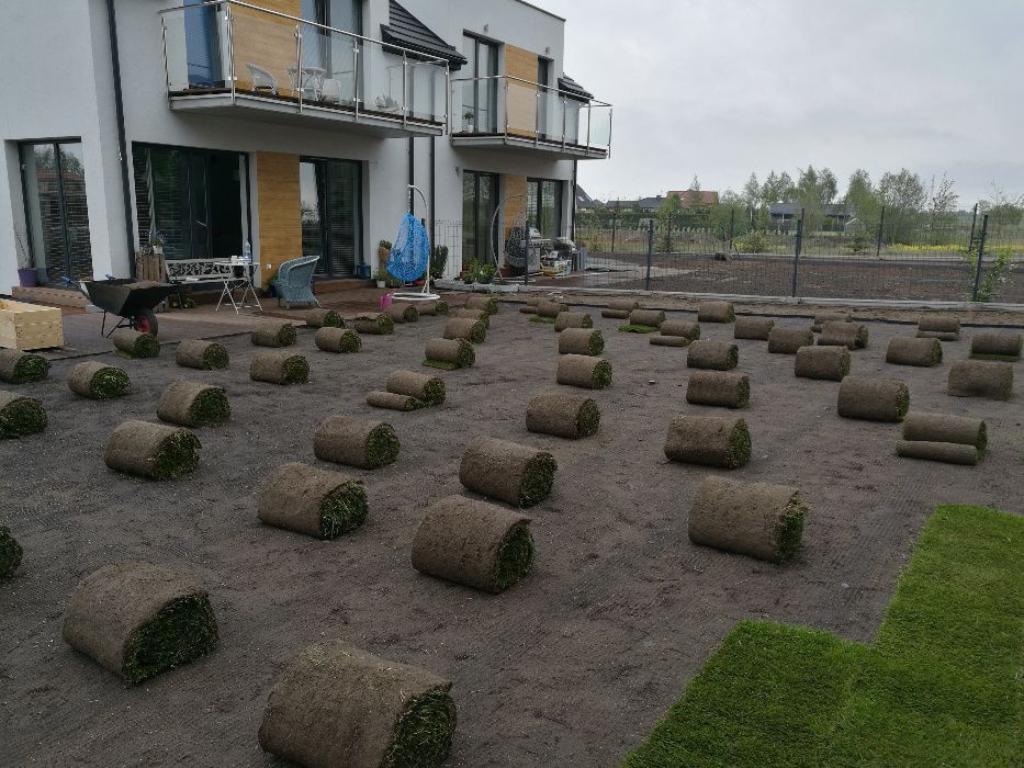 Koszenie trawy trawników nieużytków Zakładanie trawników łąk kwietnych