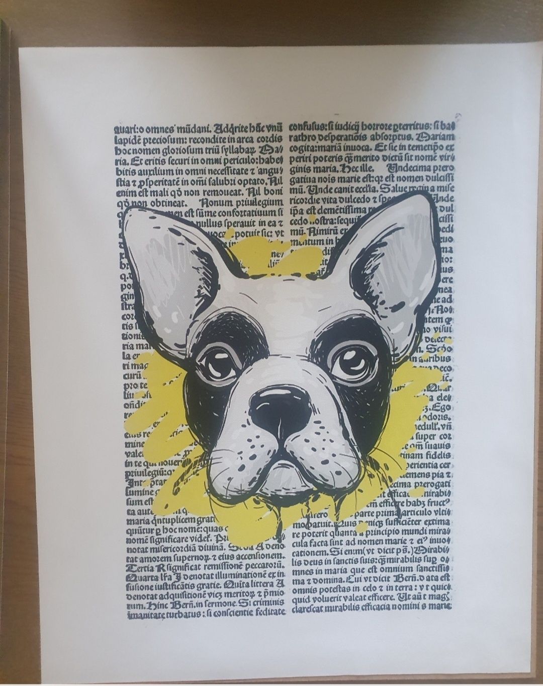 Plakat obraz buldog francuski 40x50