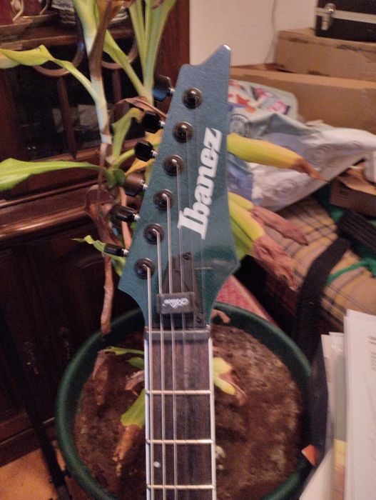 Ibanez blue cameleon RG631