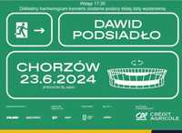 Bilet na koncert Dawida Podsiadlo