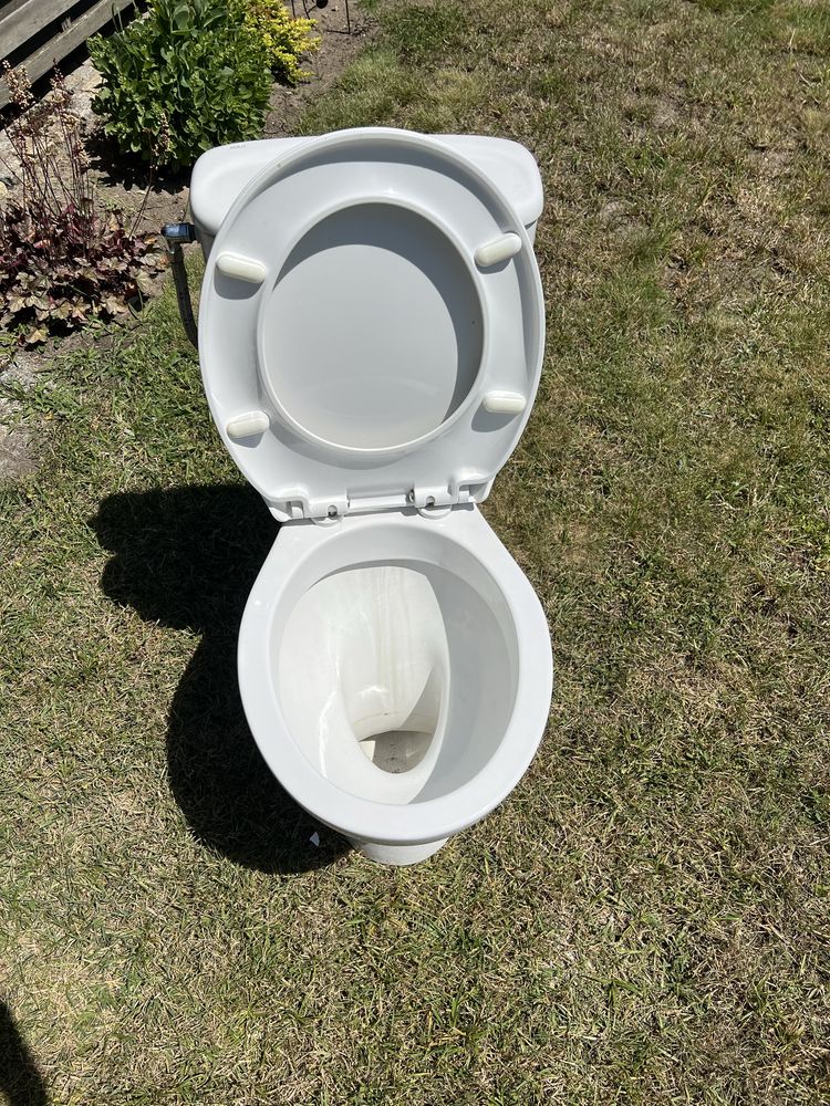 Sedes dolnopłuk koło wc