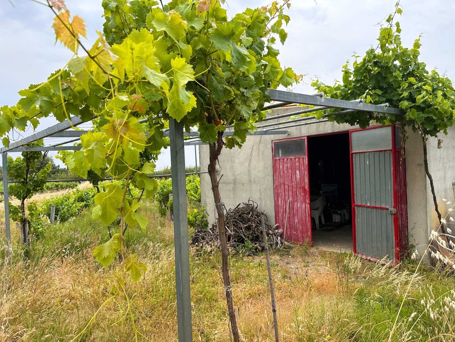 Terreno com 3.400 m2 para venda em Penamacor