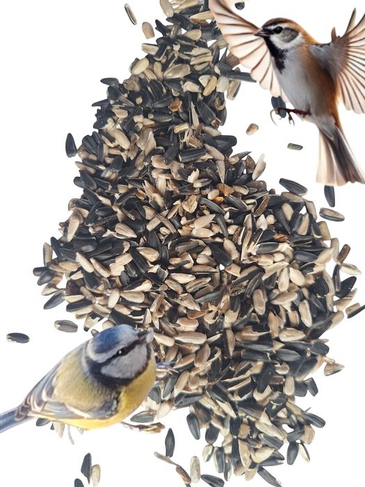 Słonecznik łuskany z nieluskanym 5 kg Gratis kula