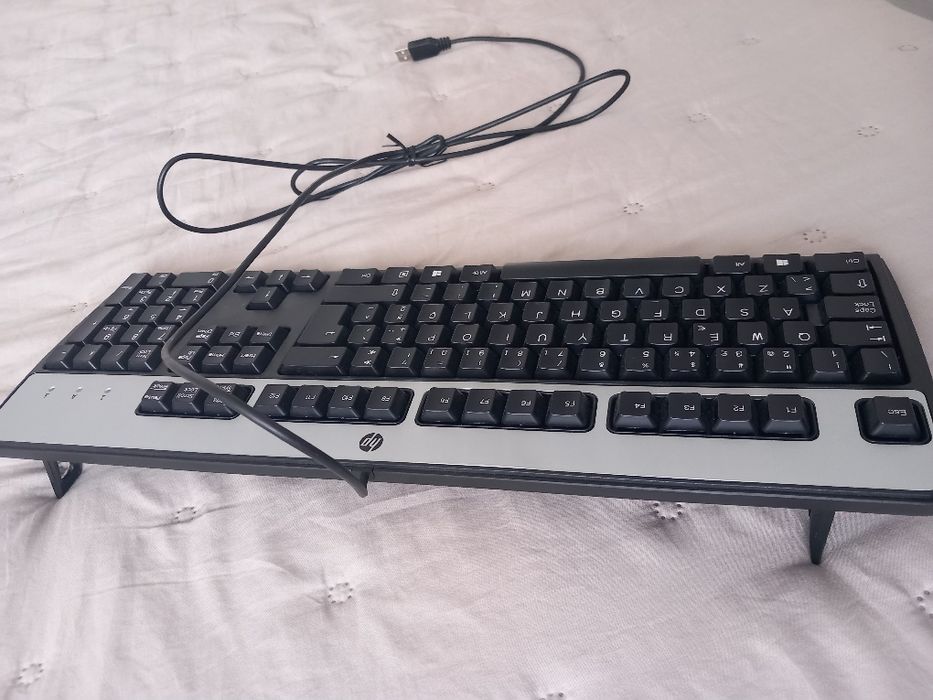 Teclado HP KU-0316 e Rato HP