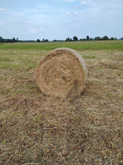 *** sprzedam siano  2025