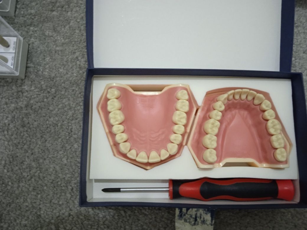Kit inicial medicina dentária