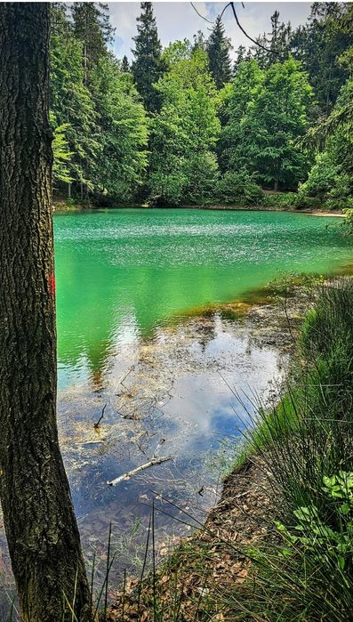 Działka blisko Karpacza, tylko 30 minut od zalewu Bukówka